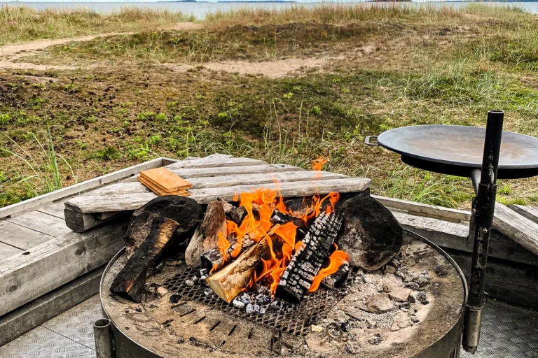 10 saker jag lärt mig om mat på stekhäll